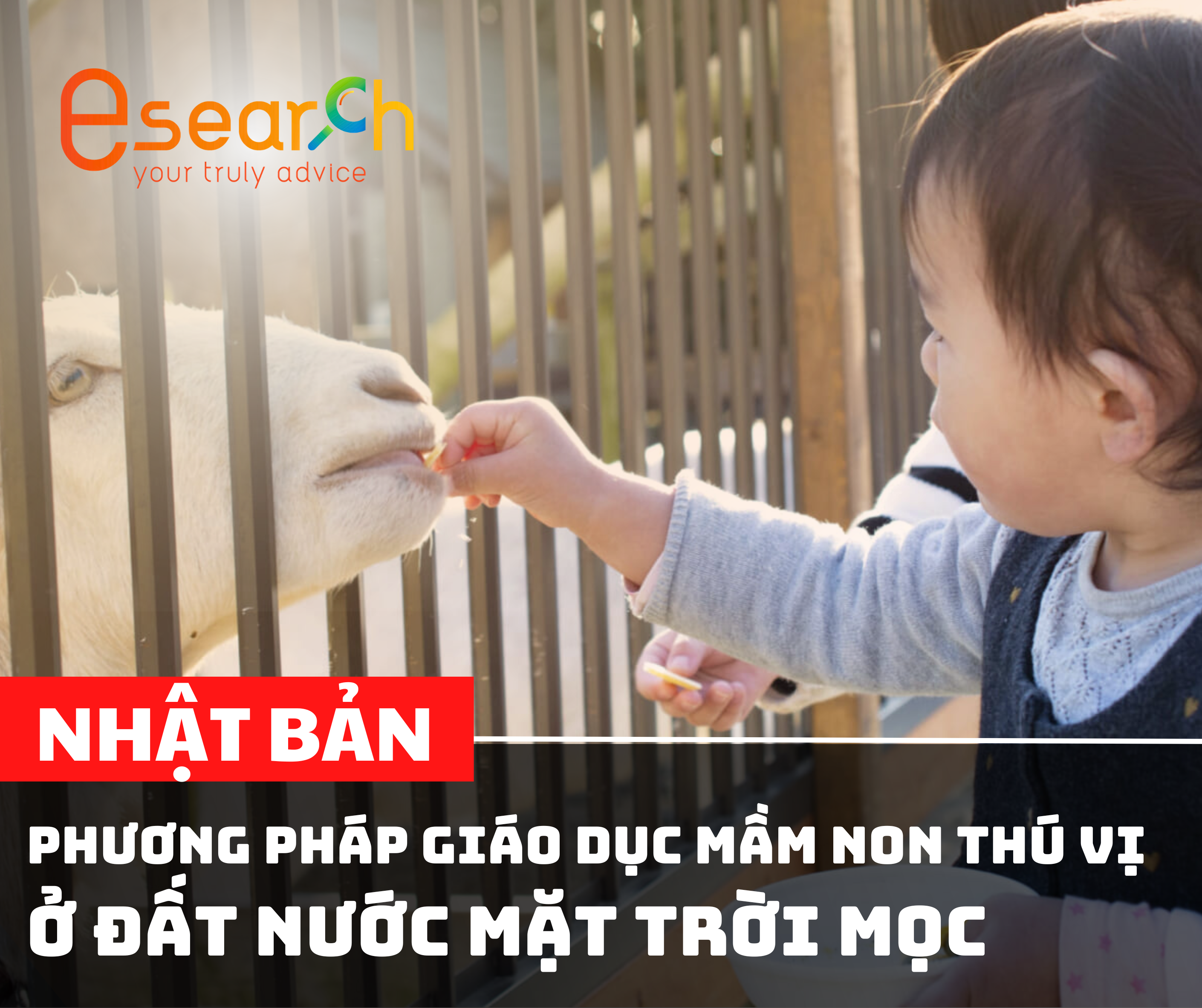 Giáo dục mầm non Nhật Bản